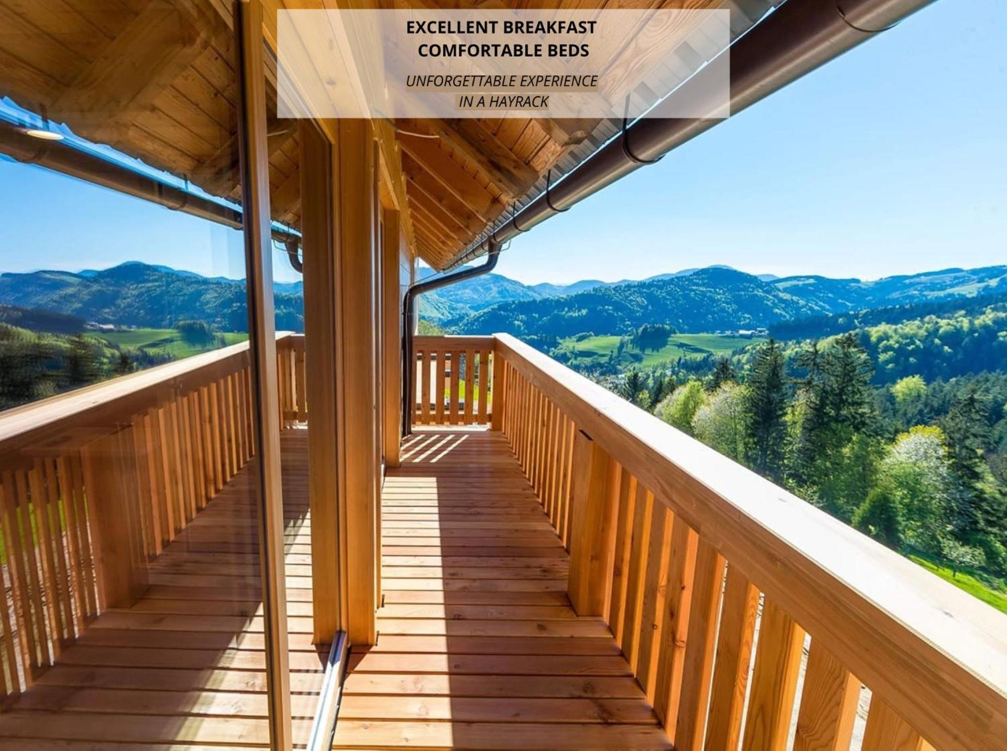 Apartmaji Na Kozolcu - Smogavc Зрече Екстер'єр фото